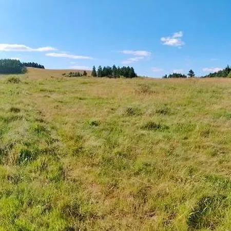 Siodme Niebo W Gorach בית כפרי דוז'ניקי ז'דרוז'