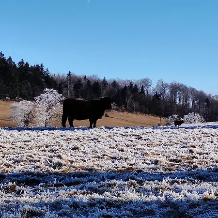 Gospodarstwo wiejskie Siódme Niebo W Górach Duszniki Zdrój