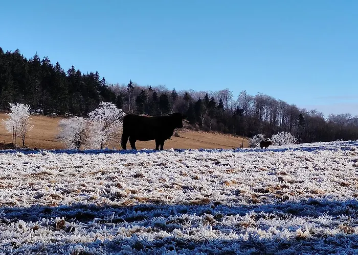 Country house Siodme Niebo W Gorach Duszniki Zdroj