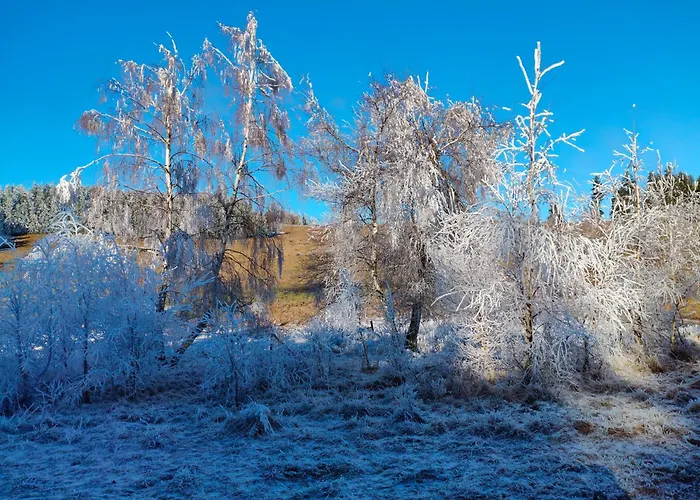 Siodme Niebo W Gorach *